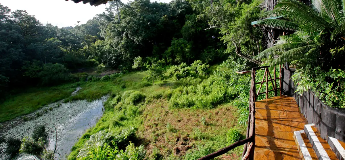 Shimba Hills Lodge